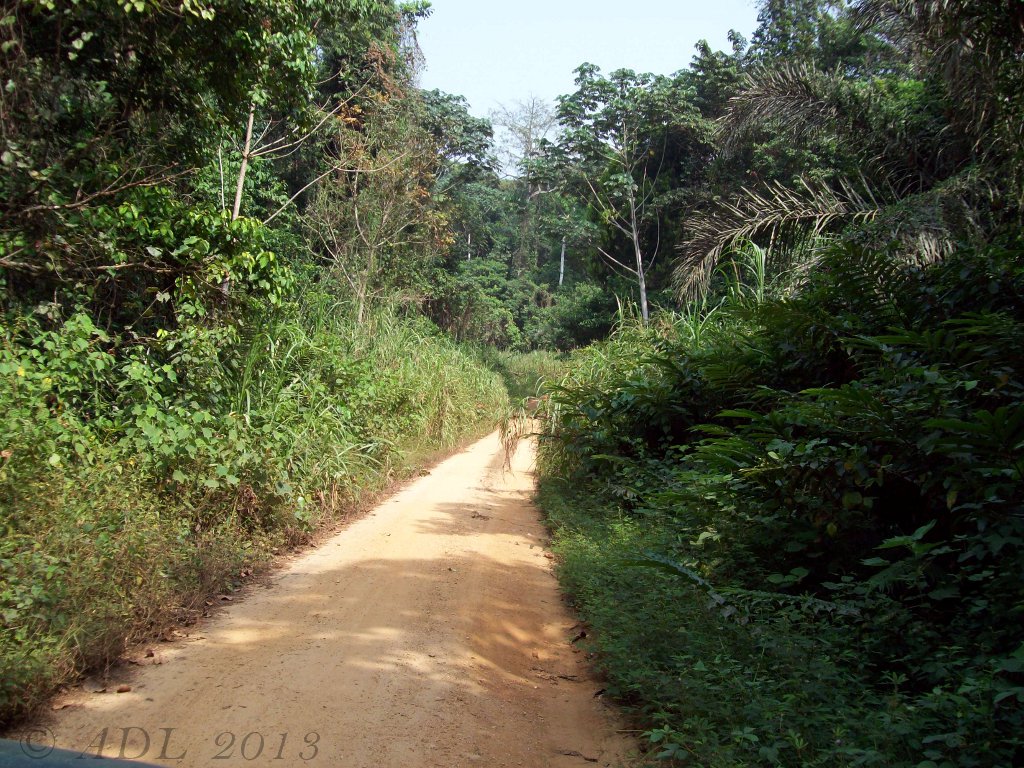 Route Yingui