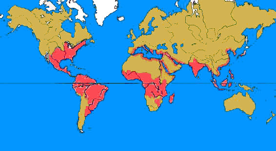 Repartition killis