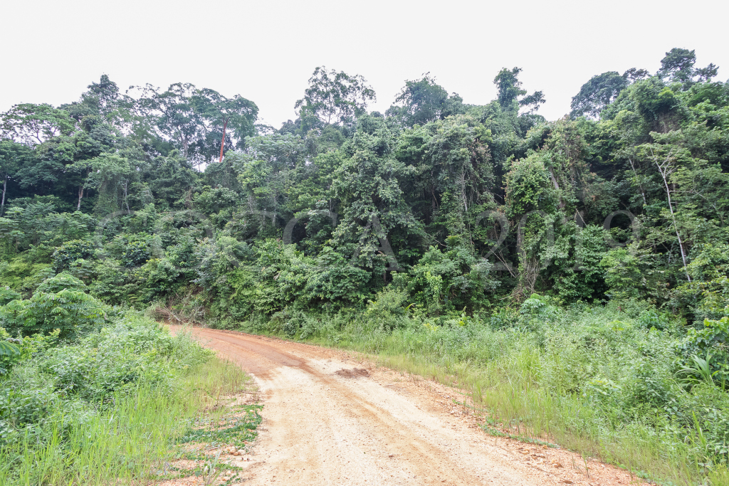 Premières pentes du Mayombe