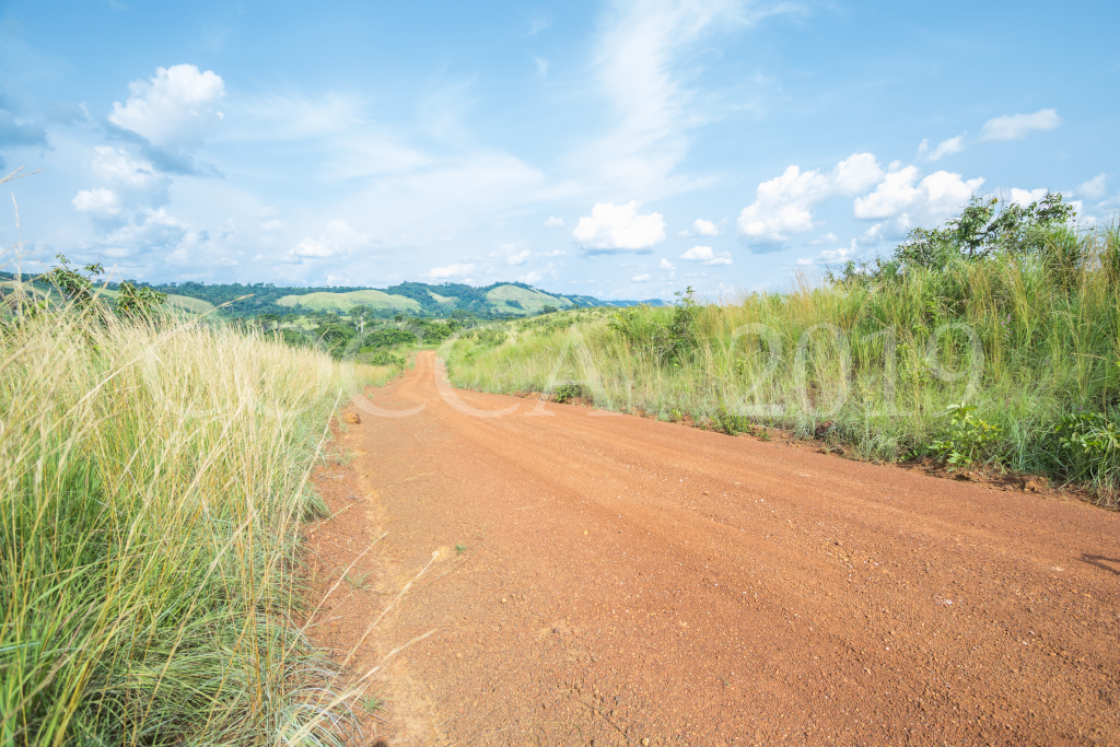 Route vers Banda