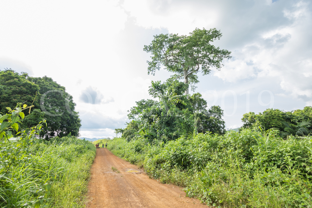 Route vers Banda