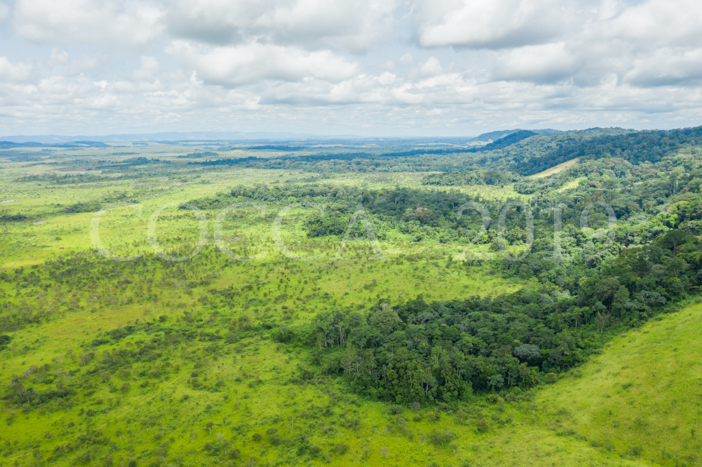 Le Gabon !