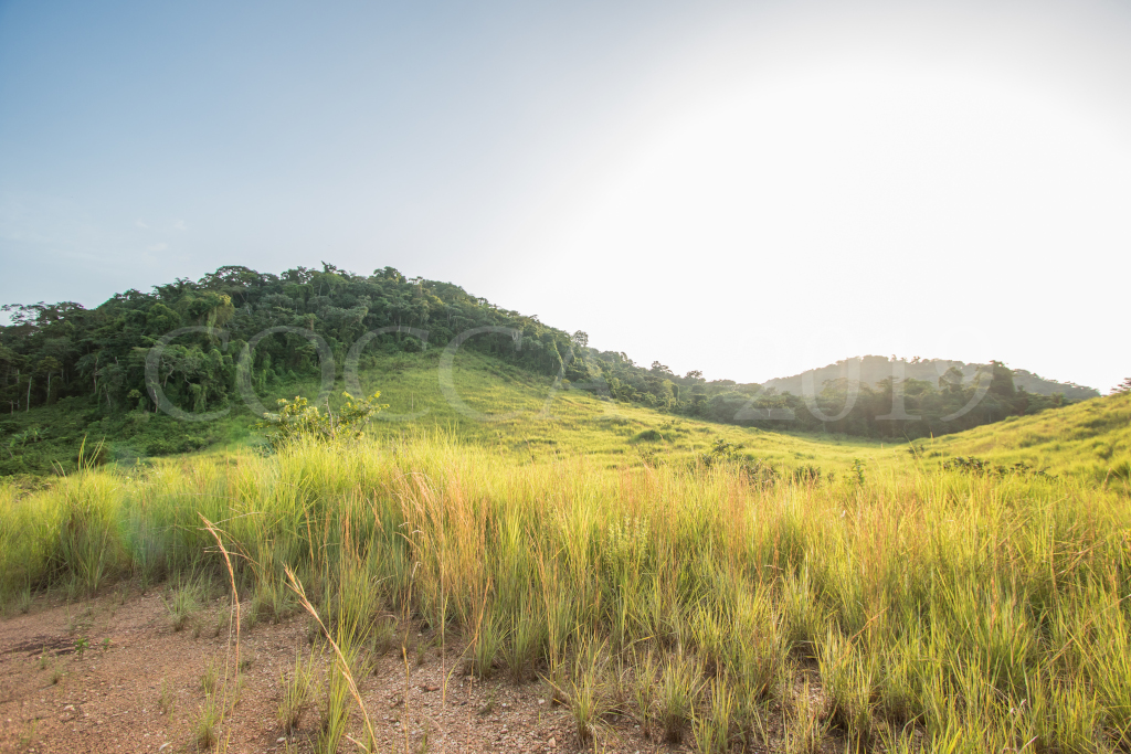 Coucher de soleil sur le Mayombe