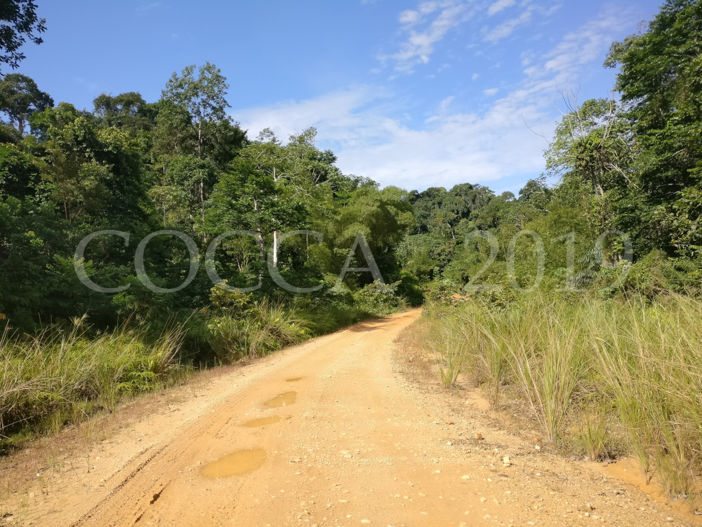 Route du Mayombe