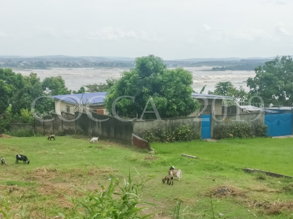 Les rapides du Congo