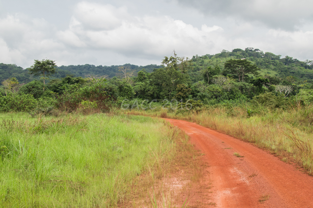 Route vers Guietsou