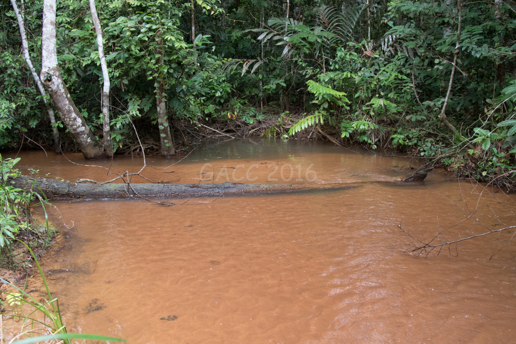 Biotope GACC 16-16