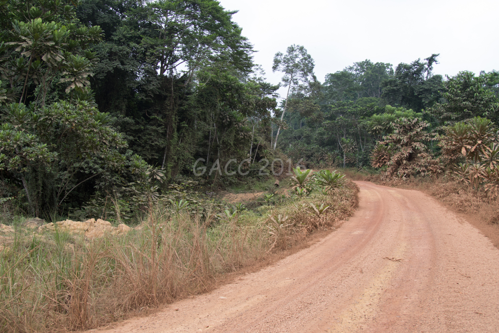 Route près de Peny