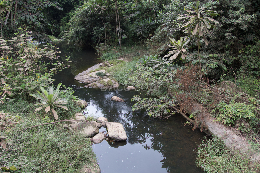 Biotope GACC 16-27