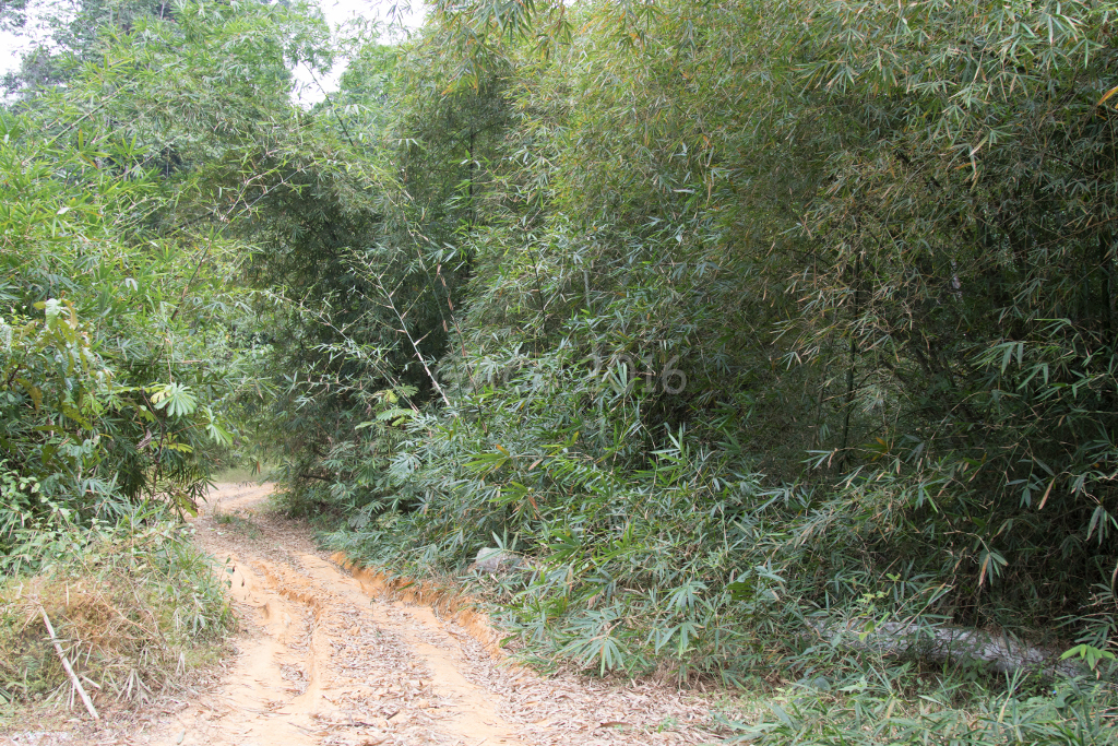 Près de Malunga