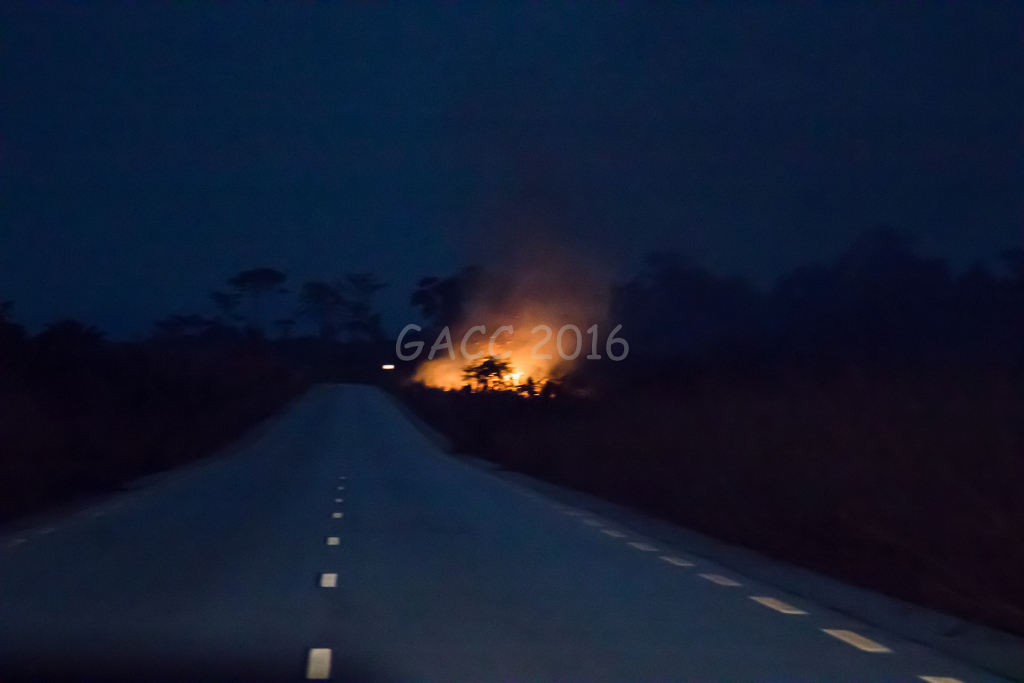 Feu de brousse
