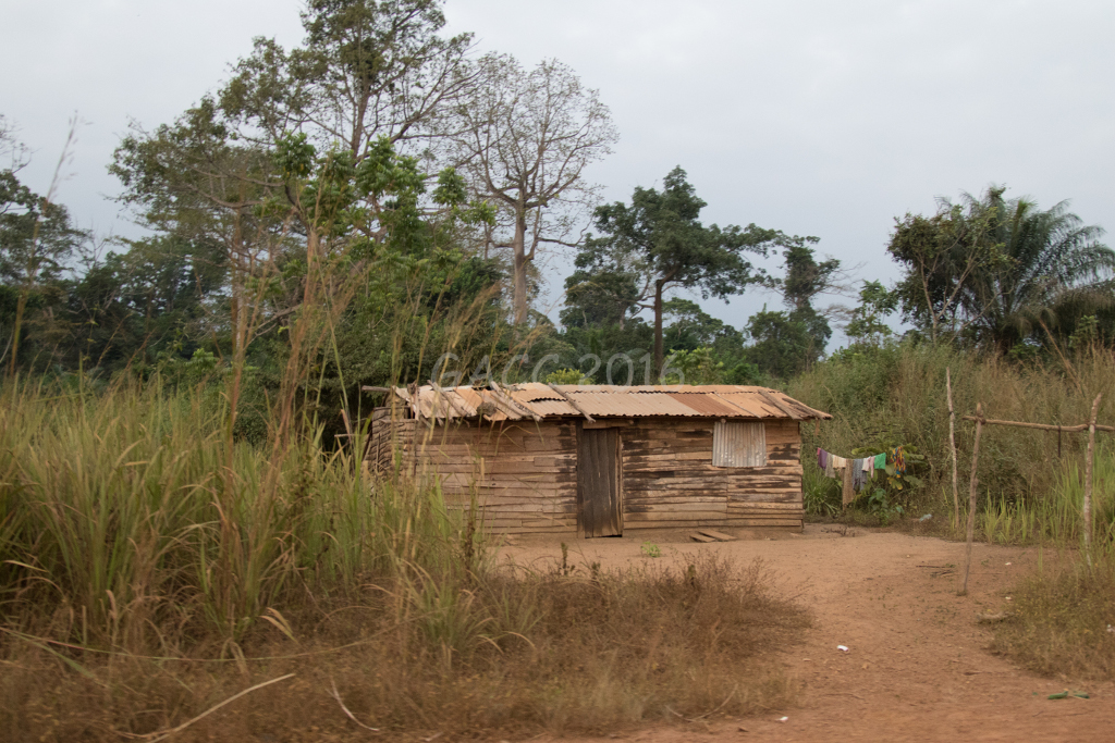 Maison de savane