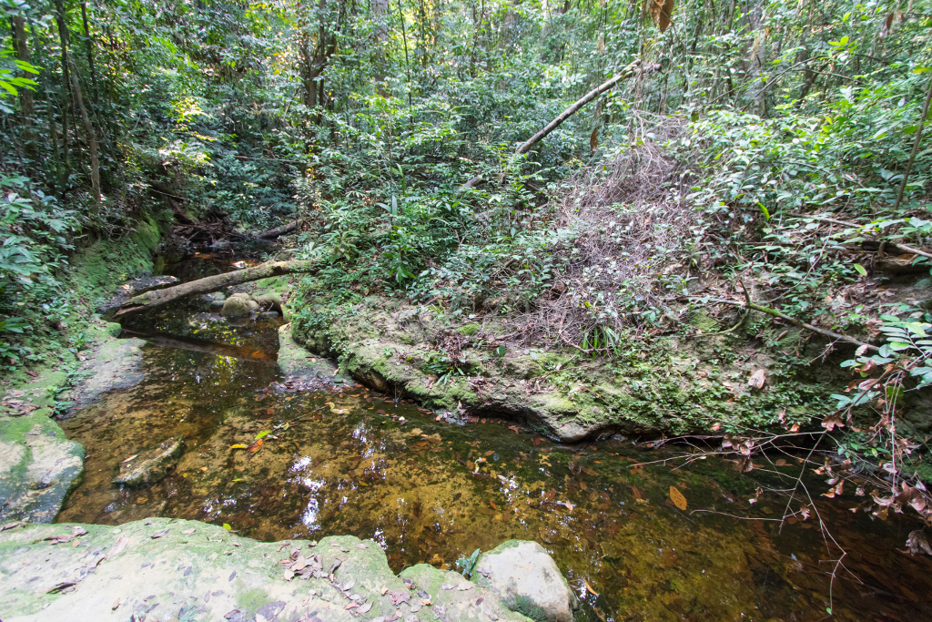 Biotope GACC 16-40