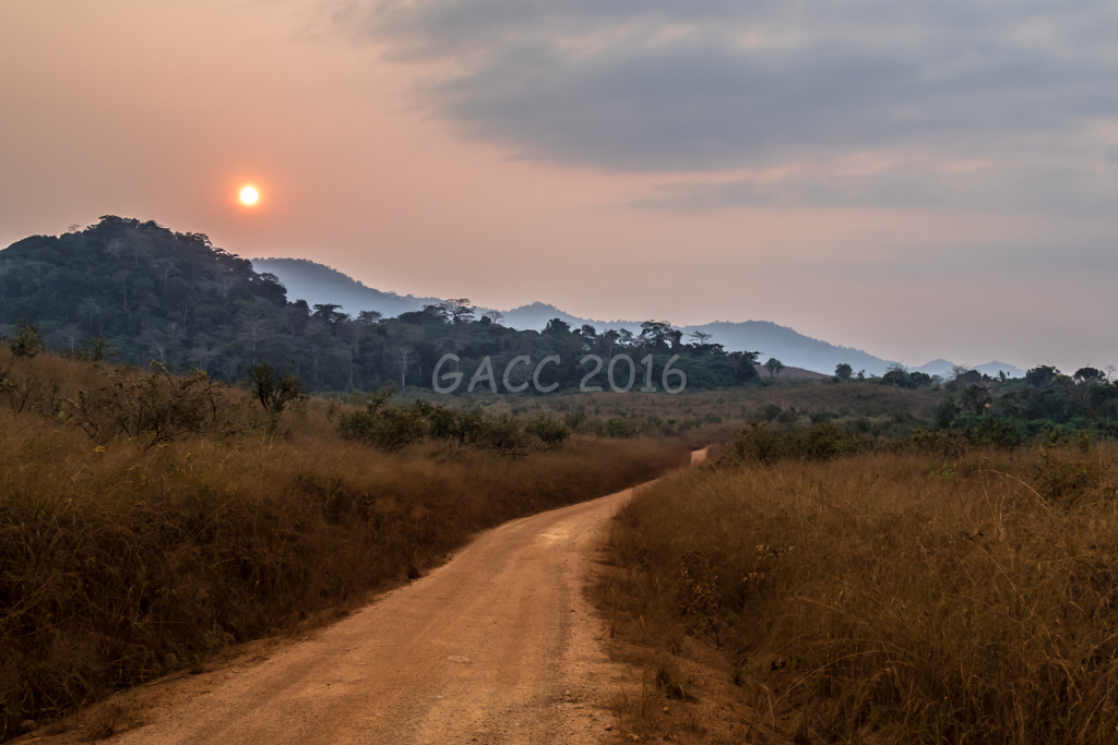 Coucher de soleil en savane à Tchibanga