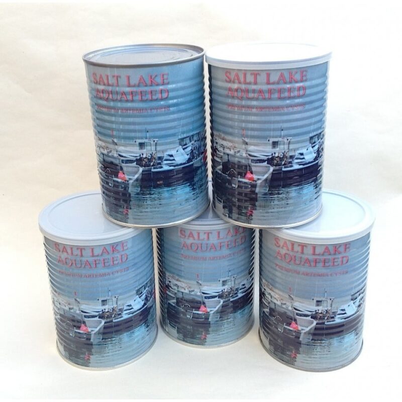 Cystes Artemia salina