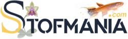 Stofmania
